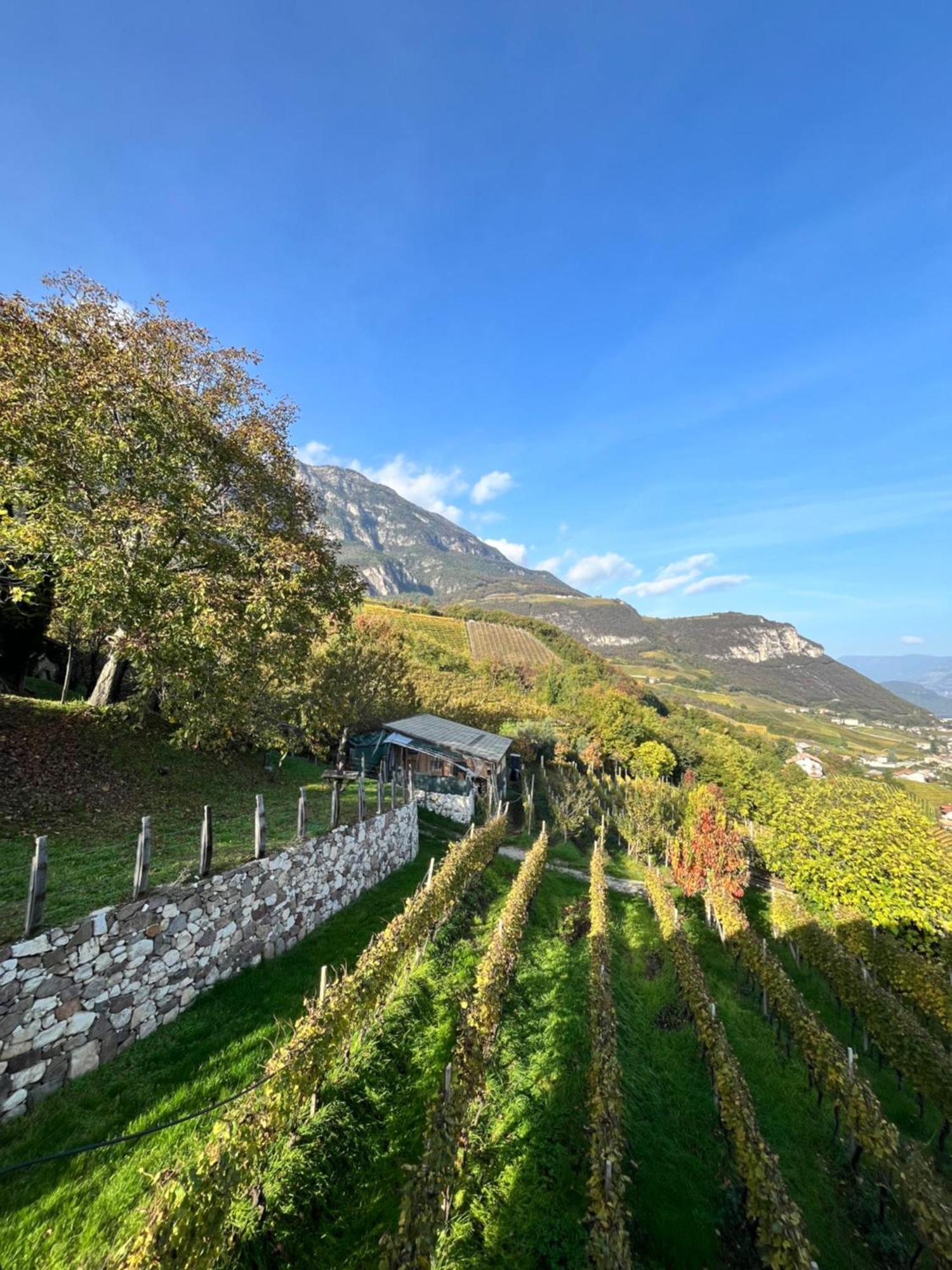 Apartmán Voldersberghof Cortaccia Exteriér fotografie