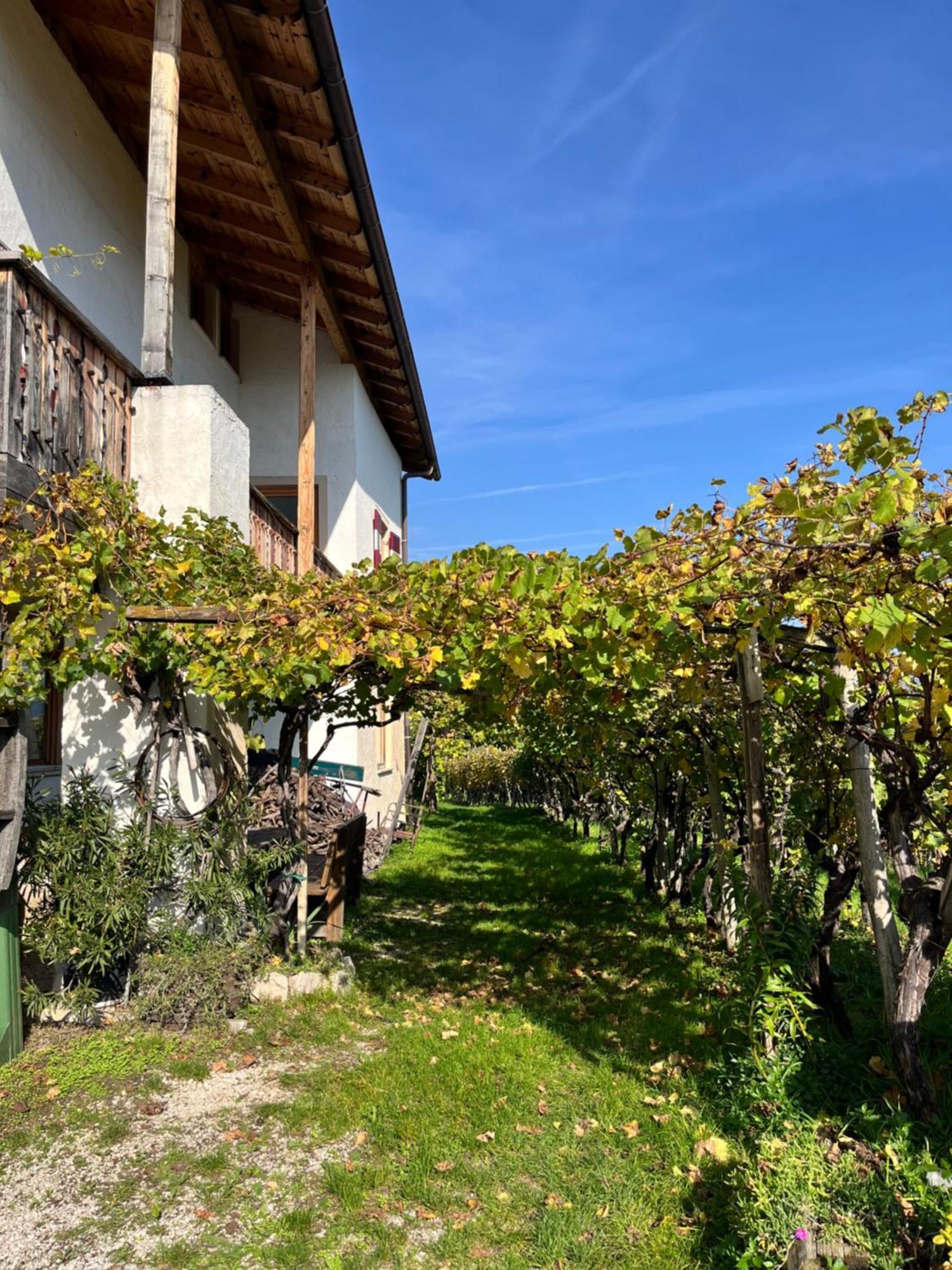 Apartmán Voldersberghof Cortaccia Exteriér fotografie